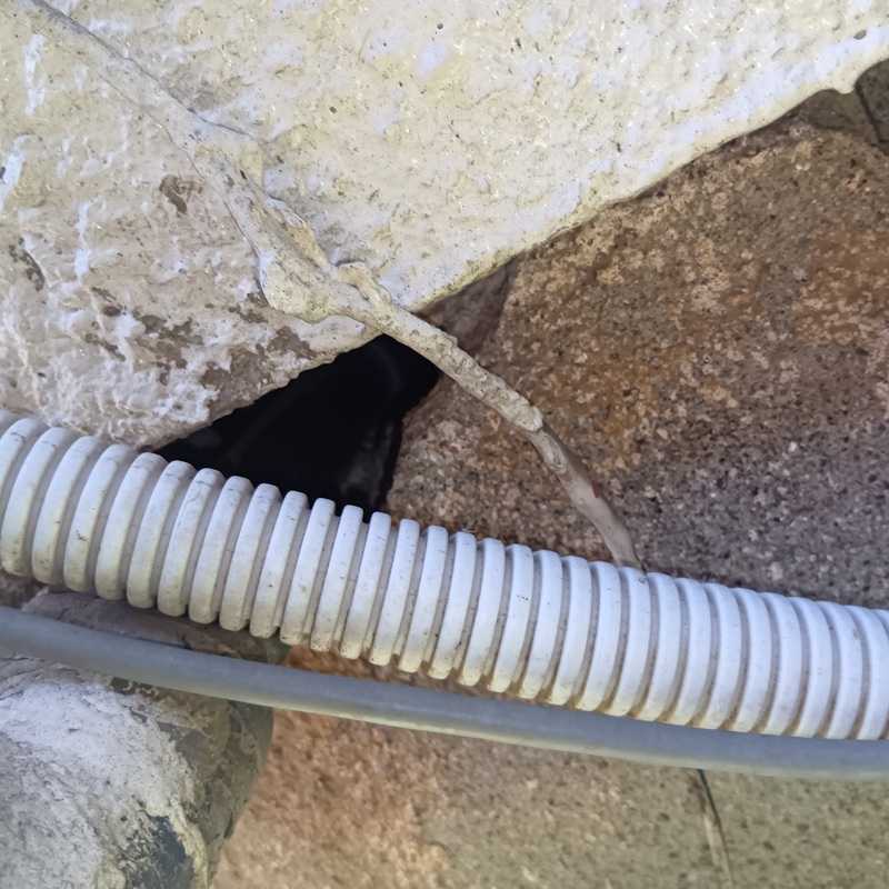 ネズミ駆除の施工事例（東京都杉並区久我山）