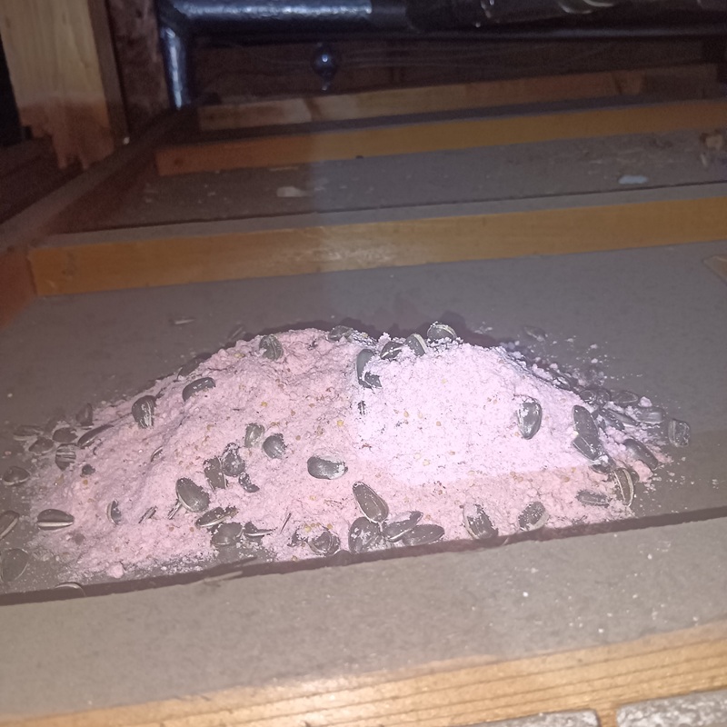 屋根裏に設置した殺鼠剤