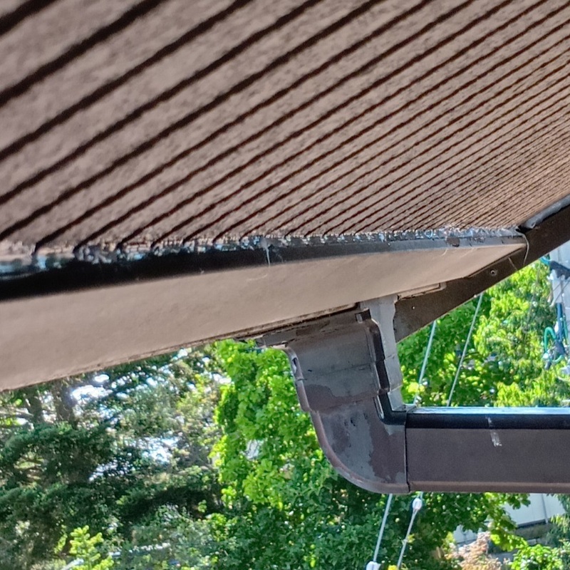 軒のすき間を封鎖