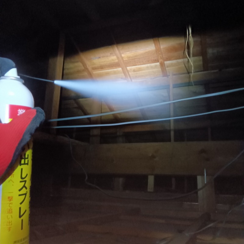 屋根裏にスプレー式の忌避剤を散布