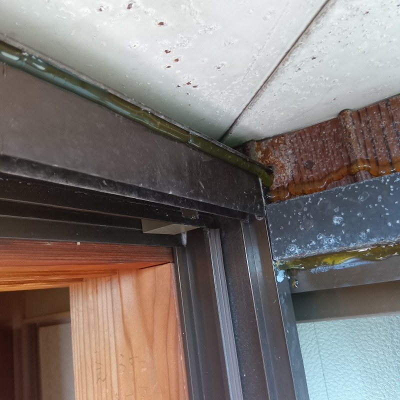 窓周辺にジェルタイプの忌避剤を塗布