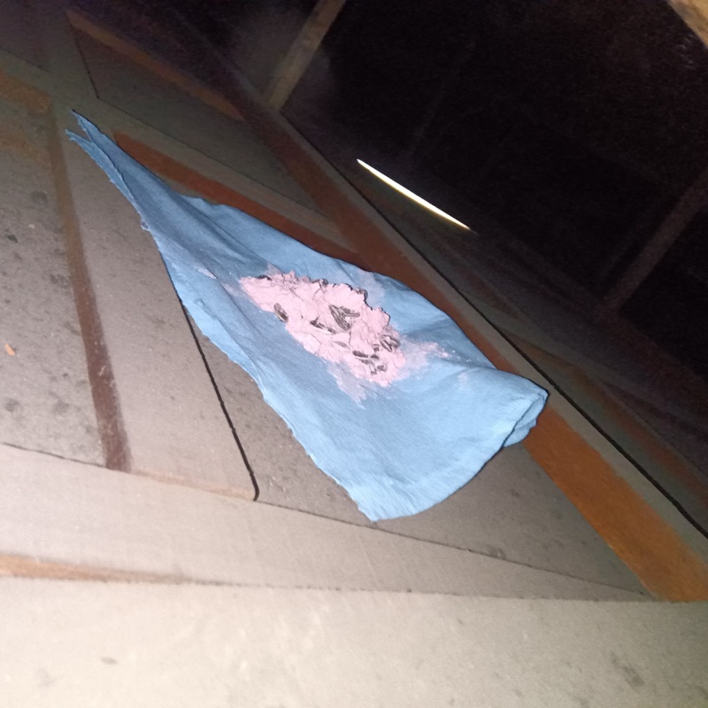 屋根裏に設置した殺鼠剤