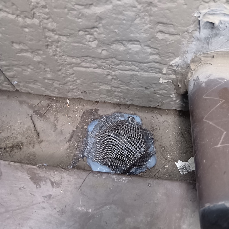 排水口に金網を設置した様子