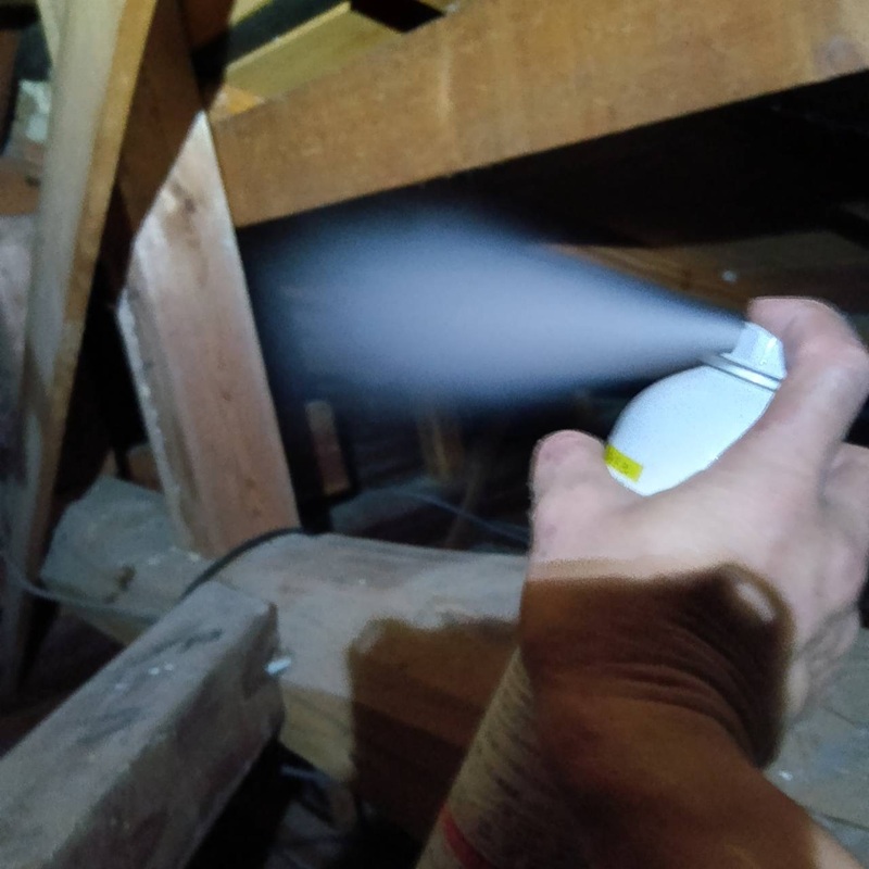 屋根裏に忌避剤をスプレーする様子