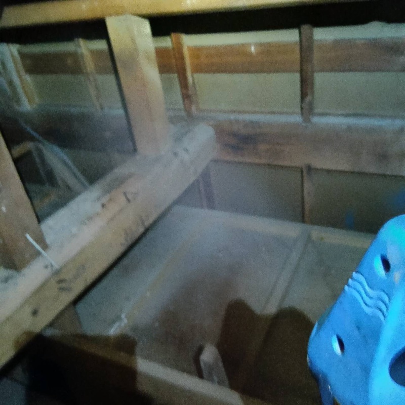 除菌・殺虫剤散布の様子