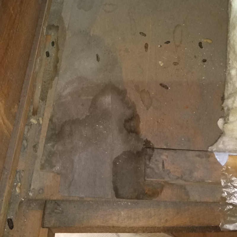 ネズミ駆除の施工事例（静岡県藤枝市岡部町岡部）
