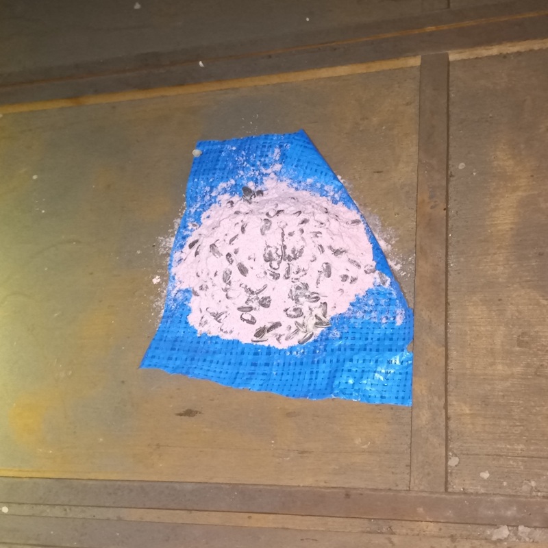 屋根裏の殺鼠剤