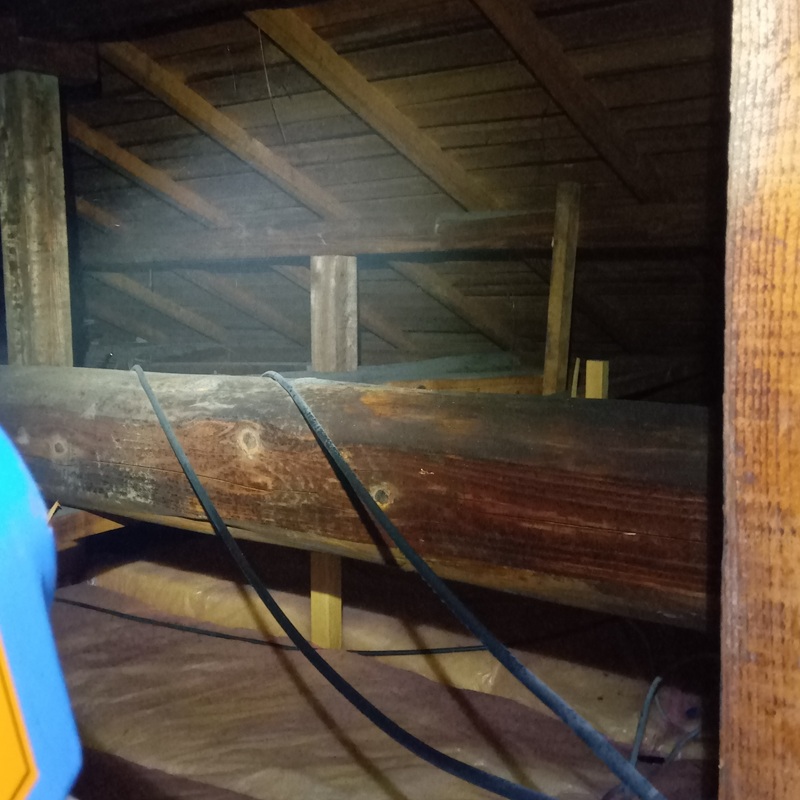 屋根裏に除菌・消臭剤を散布