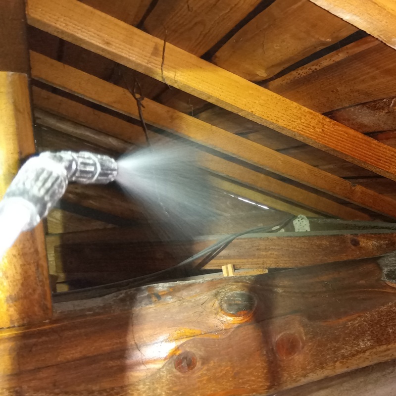 屋根に殺虫剤を散布