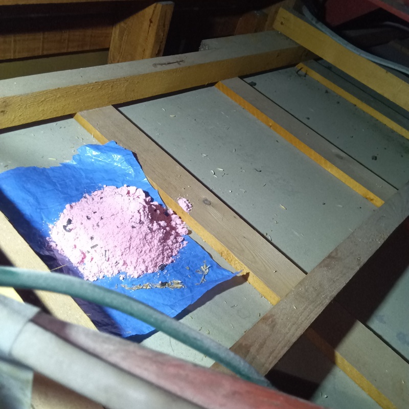 天井裏に殺鼠剤を設置した様子