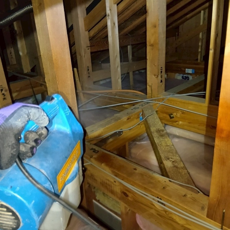 屋根裏に除菌・殺虫剤を散布する様子