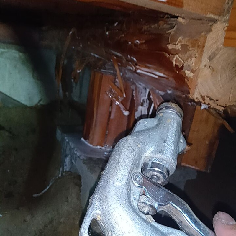 食害を受けた木部に駆除剤を吹き付け