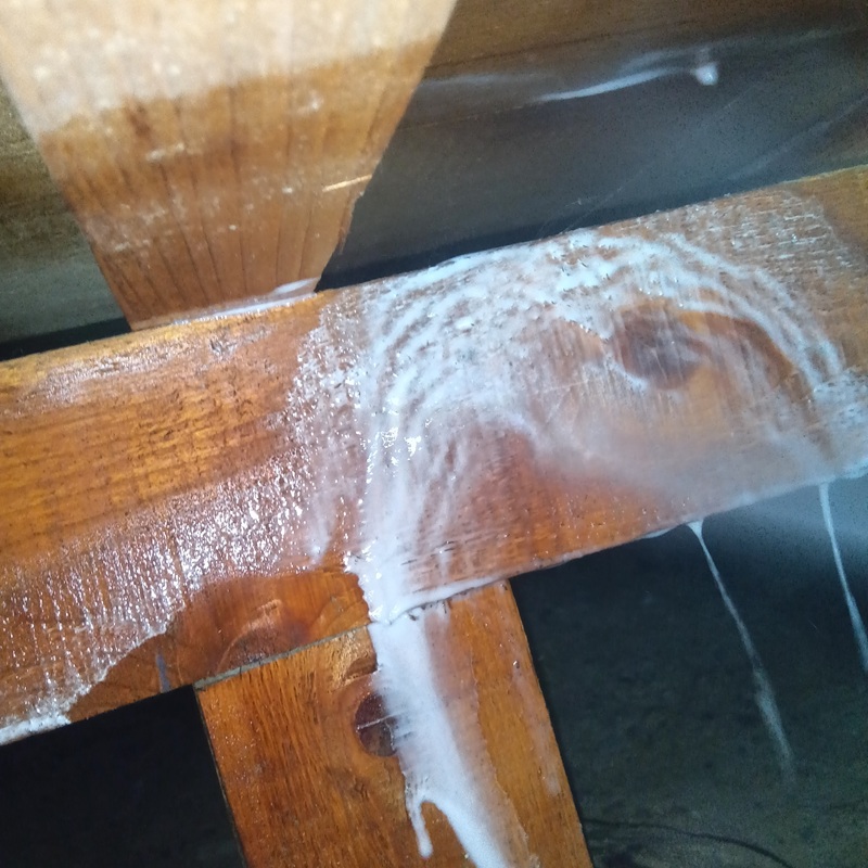 床下全体の木部に駆除剤を散布