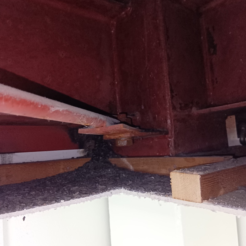 コウモリ駆除の施工事例（神奈川県川崎市幸区）