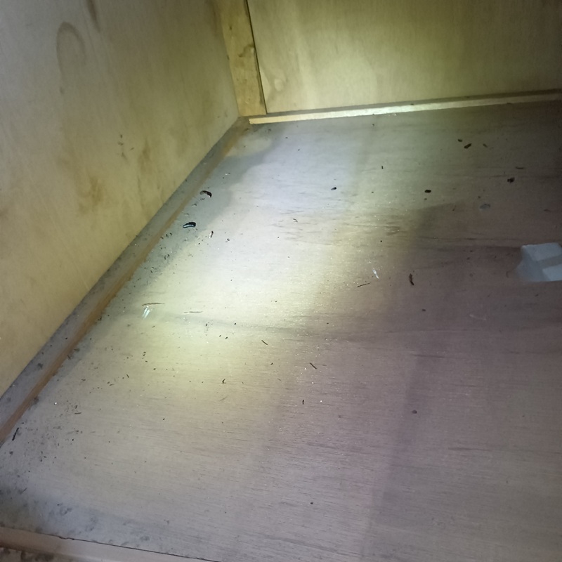 ネズミ駆除の施工事例（神奈川県横浜市瀬谷区阿久和西）