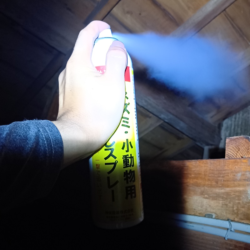 屋根裏に忌避剤を散布する様子