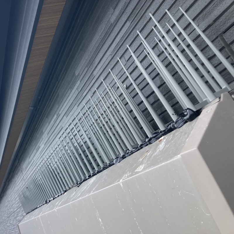 窓シャッター上に剣山を設置