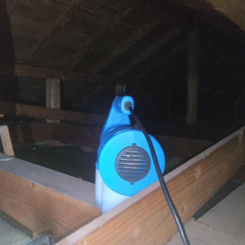 屋根裏に除菌・殺虫剤を散布する様子