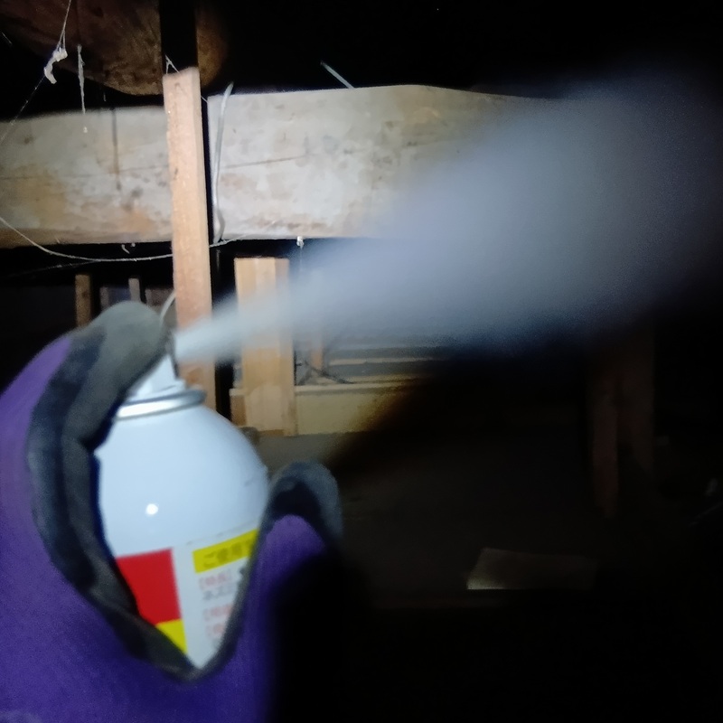 屋根裏に忌避剤を散布する様子