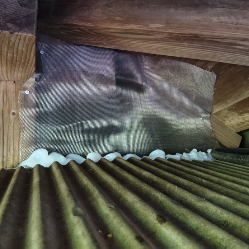 屋根の侵入経路をふさいだ様子