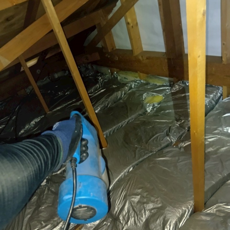 屋根裏に除菌・殺虫剤を散布