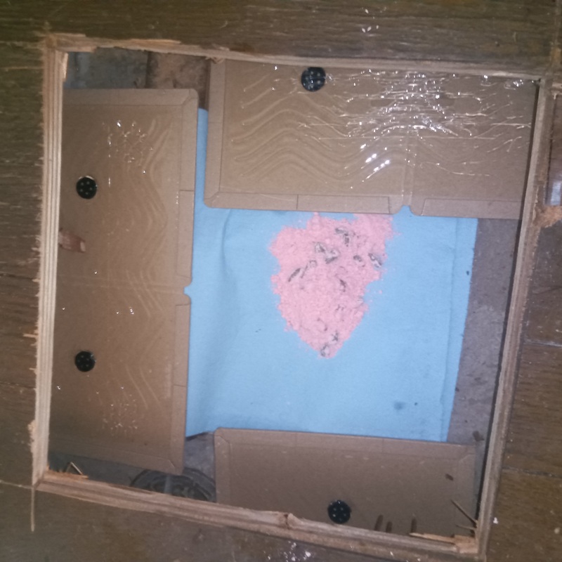 床下に設置した殺鼠剤と粘着シート