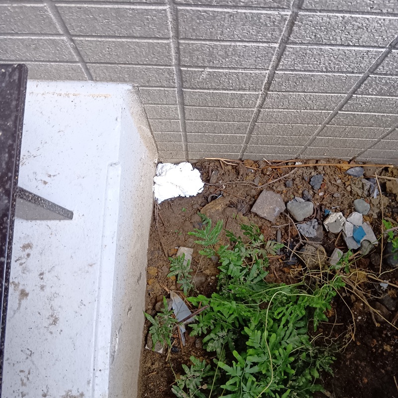 植え込みに設置した殺鼠剤