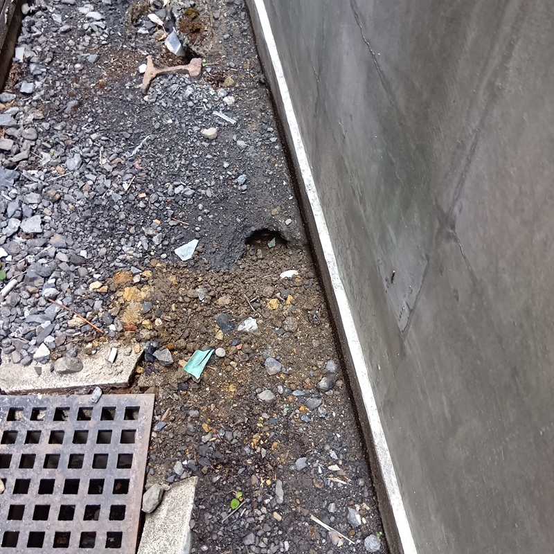 建物基礎付近の穴
