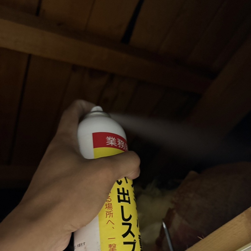 屋根裏に忌避剤を散布する様子