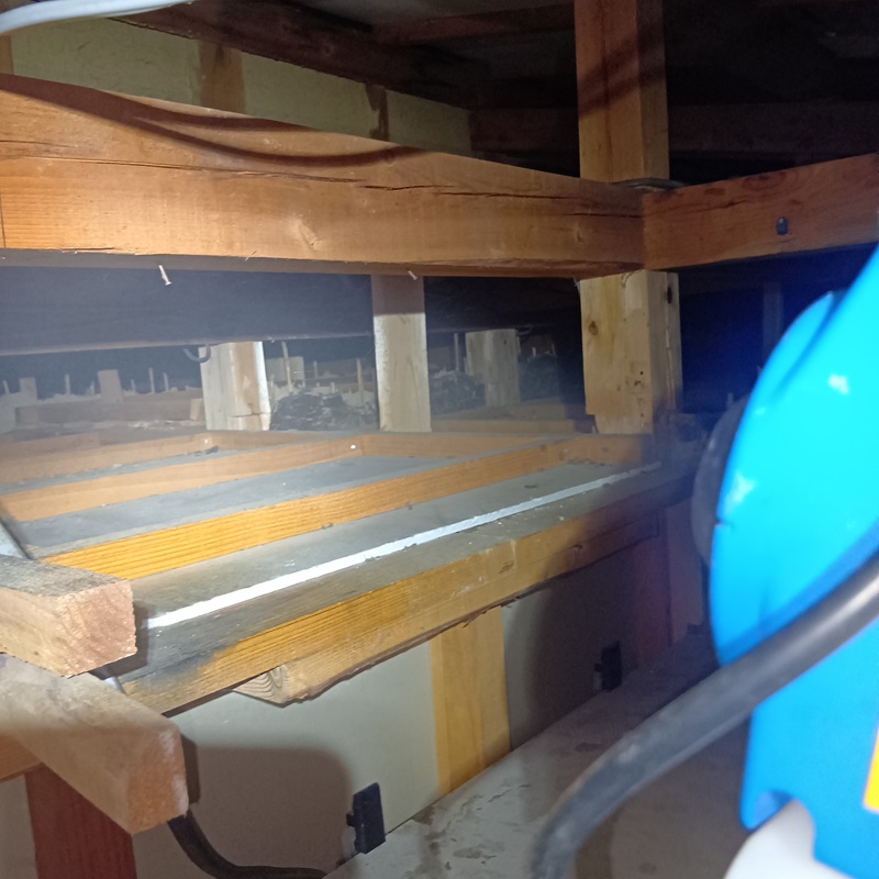 殺虫・消毒剤を散布