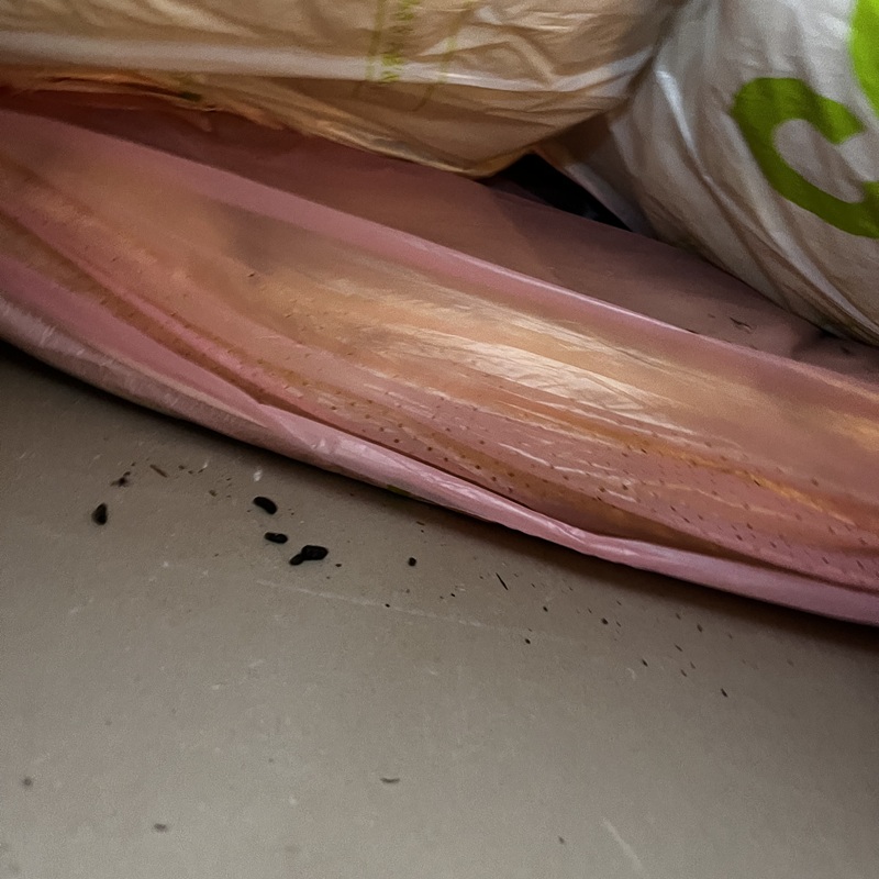 ネズミ駆除の施工事例（東京都杉並区高円寺南）