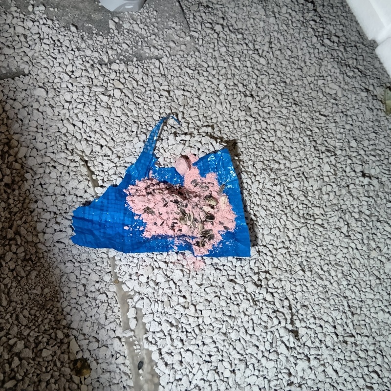 床下に設置した殺鼠剤