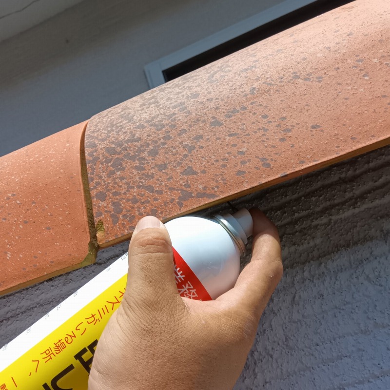 忌避剤を散布の様子