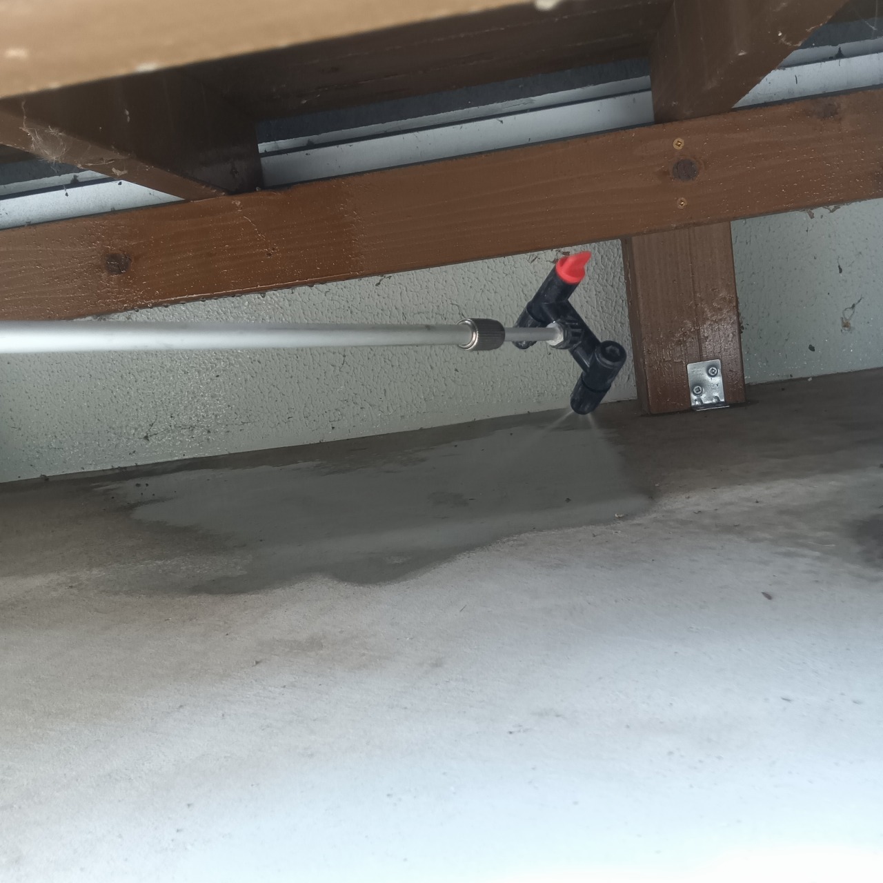 除菌・殺虫剤を散布する様子