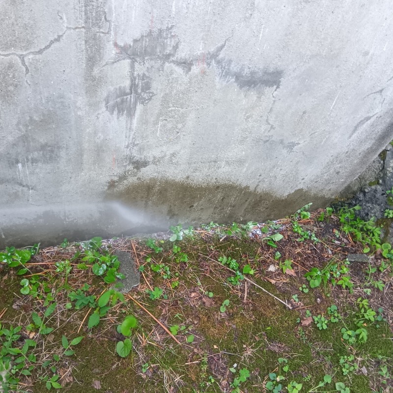 建物の外周にシロアリ駆除剤を散布