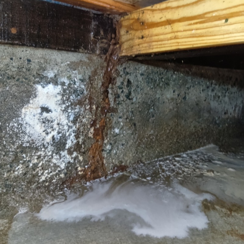 蟻道があった基礎部分にシロアリ駆除剤を散布する様子