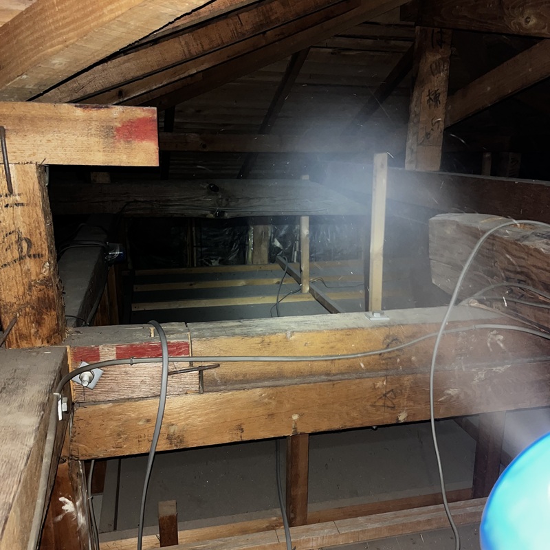 屋根裏に除菌・殺虫剤を散布