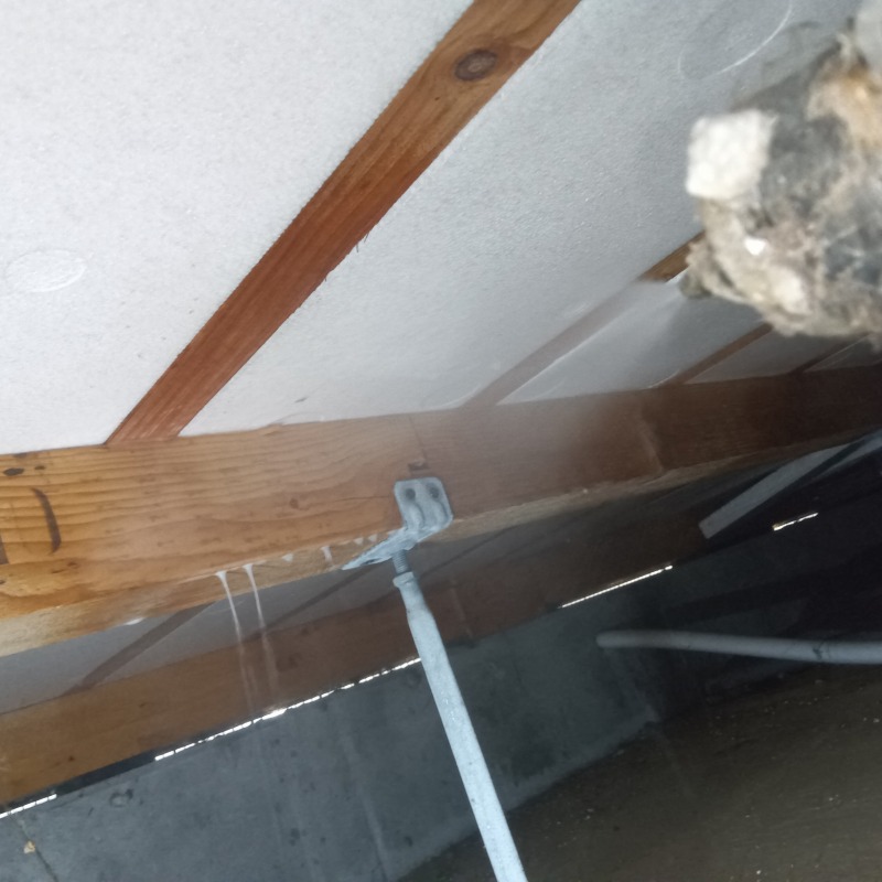 床下の木材にシロアリ駆除剤を散布