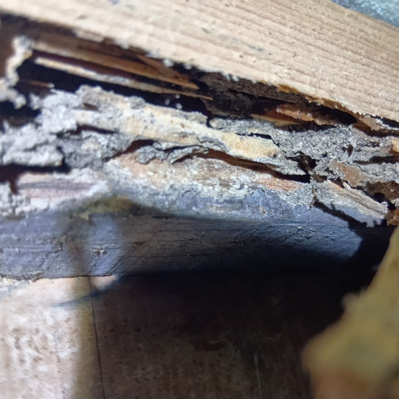 築年数33年のシロアリ駆除の施工事例（福井県敦賀市公文名）