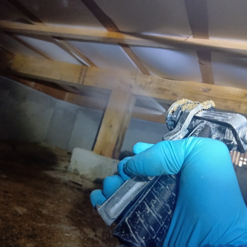 床下の木材にシロアリ駆除剤を散布