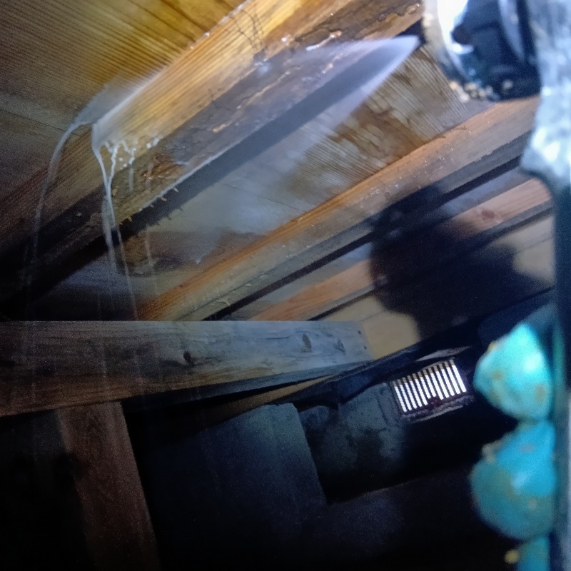 床下の木材にシロアリ駆除剤を散布