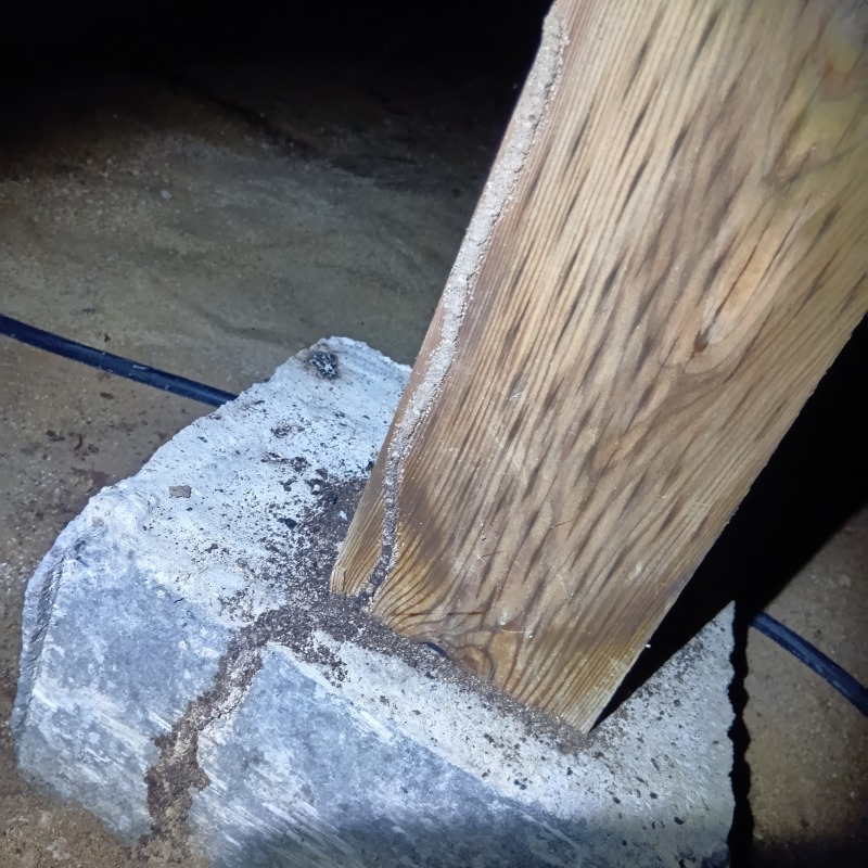 柱から束石にかけて作られたシロアリの蟻道