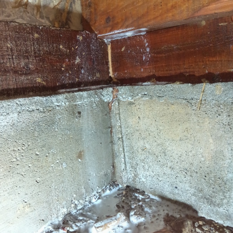 築年数60年のシロアリ駆除の施工事例（愛知県小牧市中央）
