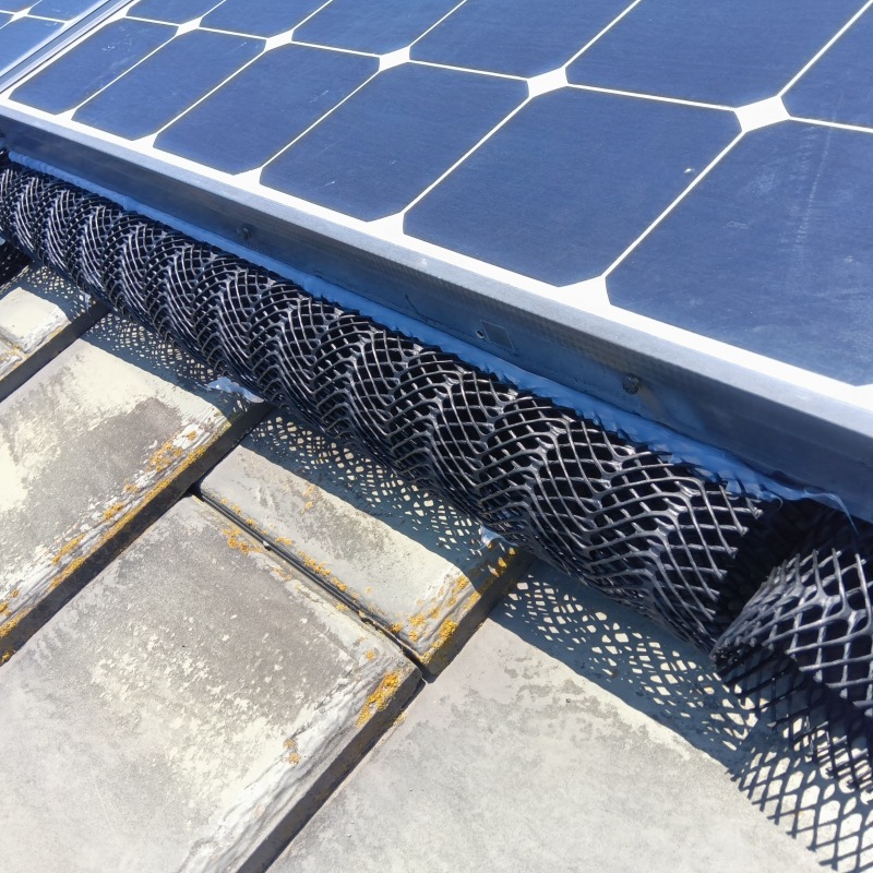 太陽光パネル下に防鳥ネットを設置