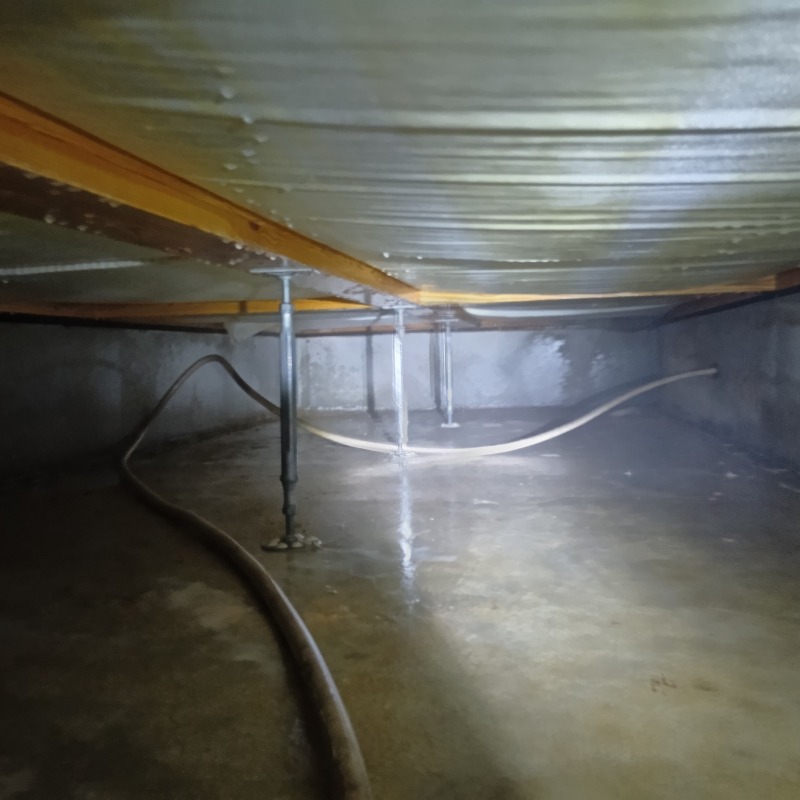 土壌処理が完了した床下の様子