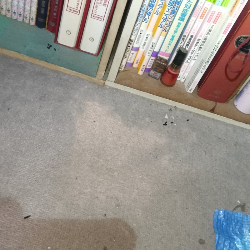 ネズミ駆除の施工事例（静岡県三島市幸原町）