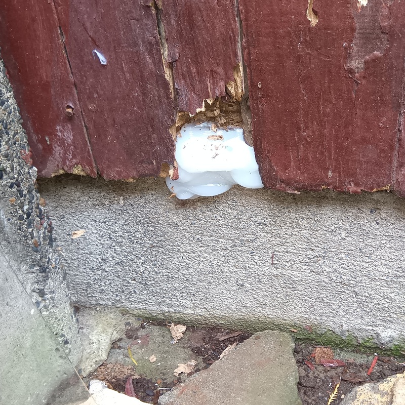 外壁の穴をふさいだ様子