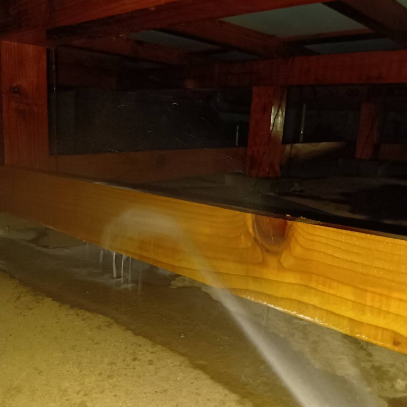 床下の木材にシロアリ駆除剤を散布