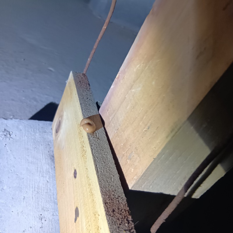 ゴキブリ用ベイト剤を設置