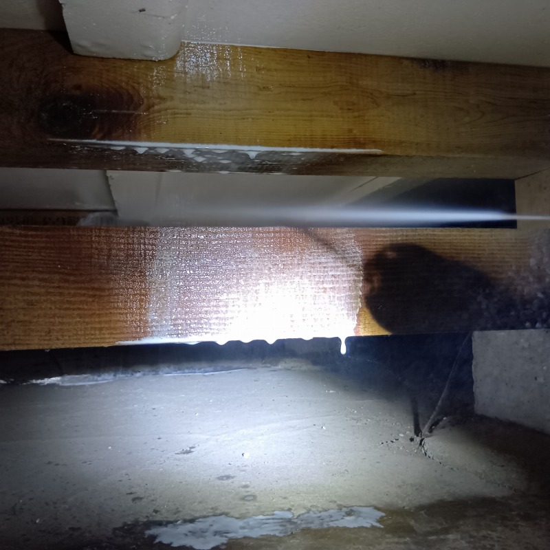 床下の木材にシロアリ駆除剤を散布